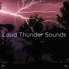 Thunder & Rain Sleep Song Lyrics