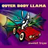 Sweet Trips album lyrics, reviews, download