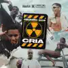 Reunião Dos Cria - Single album lyrics, reviews, download