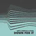 Down For It (Extended) mp3 download