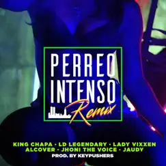 Perreo Intenso (Remix) Song Lyrics