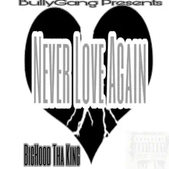 Never Love Again - Single by Big Hood Tha King album reviews, ratings, credits