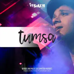 Tumsa Song Lyrics