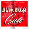 Bum Bum la Cule - Single album lyrics, reviews, download