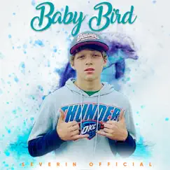 Baby Bird Song Lyrics