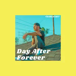 Day After Forever Song Lyrics