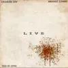 Live (feat. Brooke Lynne) - Single album lyrics, reviews, download