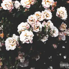 Faded - Single by Shinigami album reviews, ratings, credits