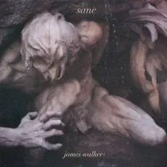 Sane - Single by James Walker album reviews, ratings, credits