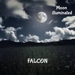 Moon Illuminated - Single by Falcon album reviews, ratings, credits