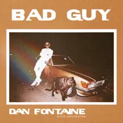 Bad Guy - Single by Dan Fontaine album reviews, ratings, credits