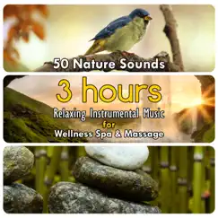 50 Nature Sounds: 3 Hours Relaxing Instrumental Music for Welness Spa & Massage by Dominika Jurczuk-Gondek album reviews, ratings, credits