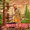 What I Want - Single album lyrics, reviews, download