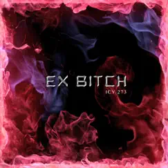 Ex Bitch Song Lyrics