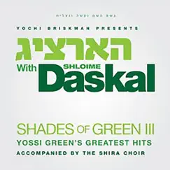 Shades of Green: Hartzig by Shloime Daskal album reviews, ratings, credits