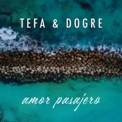 Amor Pasajero (feat. Dogre) - Single by Tefa album reviews, ratings, credits