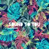 Sound to You - Single album lyrics, reviews, download