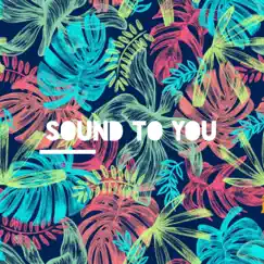 Sound to You - Single by King Solomon album reviews, ratings, credits