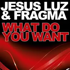 What Do You Want (David Amo & Julio Navas Remix) Song Lyrics