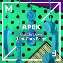 Upside Down (feat. Carly Paige) Song Lyrics