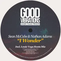 I Wonder (Louie Vega Roots Radio Edit) Song Lyrics