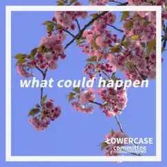 What Could Happen Song Lyrics