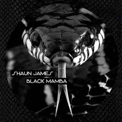 Black Mamba - Single by Shaun James album reviews, ratings, credits