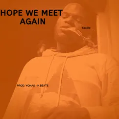 Hope We Meet Again - Single by Yaadie album reviews, ratings, credits