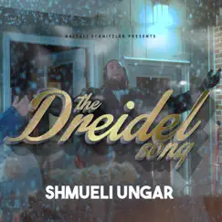 The Dreidel Song - Single by Shmueli Ungar album reviews, ratings, credits