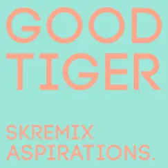 Aspirations (Skremix) Song Lyrics