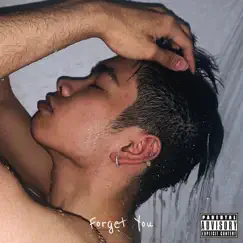 Forget You - Single by AJ Ablong album reviews, ratings, credits