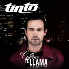 Mi Cuerpo Te Llama - Single by Tinto album reviews, ratings, credits