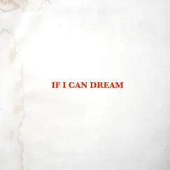 If I Can Dream Song Lyrics