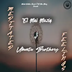 Meditated Feelings - Single by Ubuntu Brothers & El Mai Musiq album reviews, ratings, credits