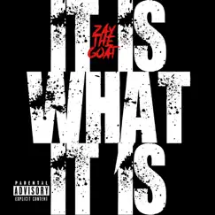 It Is What It Is - Single by ZayTheGOAT album reviews, ratings, credits