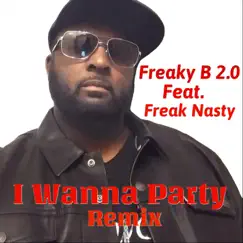 I Wanna Party (Remix) [feat. Freak Nasty] Song Lyrics