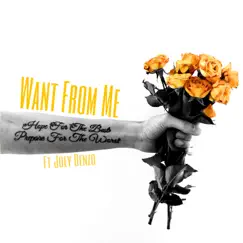 Want from Me (feat. Joey Benzo) - Single by Vintage HD album reviews, ratings, credits