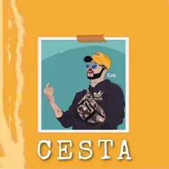 Cesta (feat. Chris & Jayko) Song Lyrics