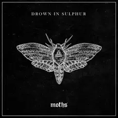 Moths - Single by Drown in Sulphur album reviews, ratings, credits