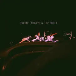 Purple Flowers Song Lyrics