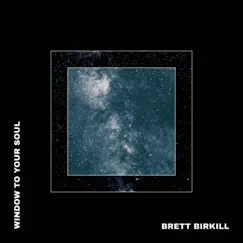 Window to Your Soul by Brett Birkill album reviews, ratings, credits