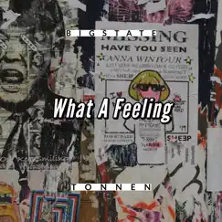 What a Feeling - Single by Tonnen & Bigstate album reviews, ratings, credits