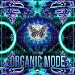 Organic Mode Song Lyrics