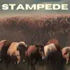 Stampede - Single album lyrics, reviews, download