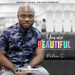 You Are Beautiful - Single by Peter C album reviews, ratings, credits