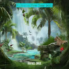 Welcome New Year 2023 - EP by Rafael Orue album reviews, ratings, credits