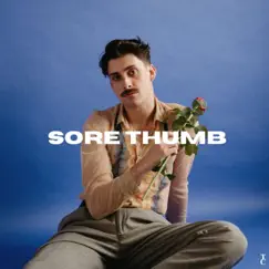 Sore Thumb - Single by Tim Chadwick album reviews, ratings, credits