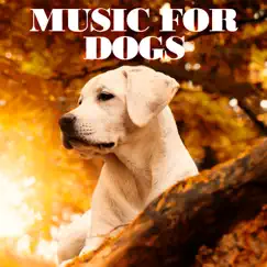 Music For Dogs by Dog Music, Cat Music & Sleeping Music For Dogs album reviews, ratings, credits