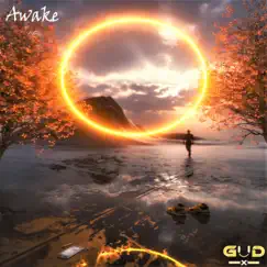 Awake - Single by Gudx album reviews, ratings, credits
