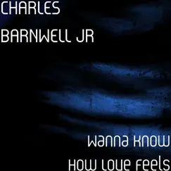 Wanna Know How Love Feels - Single by CHARLES BARNWELL JR album reviews, ratings, credits